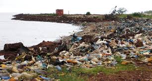 Conakry (/ ˈ k ɒ n ə k r i /; Guinea Elizabeth Around The World