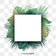 Green Tropical Plant Palm Leaf Border Border Clipart Palm Leaf Botany Png Transparent Clipart Image And Psd File For Free Download Flower Clipart Leaf Clipart Cartoon Leaf