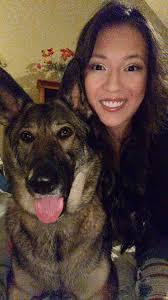 DNA Test Results for German Shepherd Dog