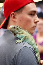 Kids learn about lizards, turtles, more creatures at ReptiCon OKC