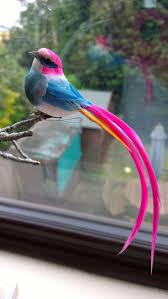 Bird With No Feathers Artificial Tropical Streamertail Feather Bird Clip Blue Pink Orange Feathers Ebay Home Garden In 2020 Beautiful Birds Pet Birds Nature Birds