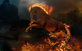41 Fire Horse Wallpaper Hd On Wallpapersafari » taj hotel background for iphone 4.