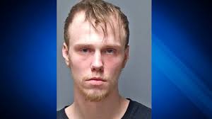 NH man charged in puppy theft