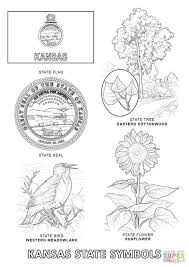 It is a native wild flower common throughout kansas with a historic symbolism which speaks of frontier days. Moana Symbols Images Shefalitayal