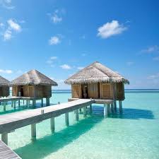 Michelle Tsang and Dennis Gu's Wedding Registry