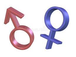 Symbole Der Manner Und Der Frauen Stock Abbildung Illustration Von Symbol Ring 6573145