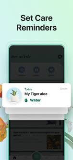 Check spelling or type a new query. Picturethis Plant Identifier On The App Store