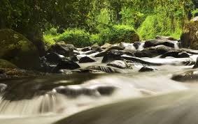 Ticket masuk sesaot / trip seru dan gak ribet go vakansi paket wisata lombok paket hutan lindung sesaot adalah wisata hutan yang terdapat desa sesaot, sekitar 5 km … Ticket Masuk Sesaot 41 Tempat Wisata Di Lombok Yang Sangat Populer Wisata Tempatku Ticket Masuk Ticket Masuk Ticket Masuk Ticket Masuk Jen Brantner
