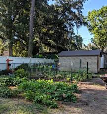 Some of my outdoor plants looked stunted this year for some reason. Home Depot Memorial Day Sale 2 Miracle Gro Garden Soil 1 Annuals 2 Mulch Bags More Coupon Terri