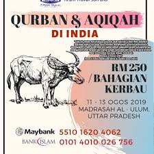 Check back in an hour. Tiramtraveltanjungmalim Instagram Posts Photos And Videos Picuki Com