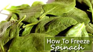 How to freeze spinach for your green smoothie? How To Freeze Spinach