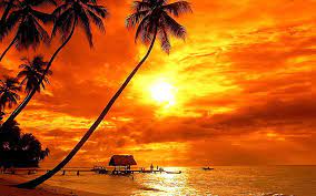 Here are the sunset desktop backgrounds for page 6. 1082x1922px Free Download Hd Wallpaper Bora Bora Tropical Sunset Beach Palm Trees Red Sky Clouds Ultra Hd 4k Wallpaper For Desktop Laptop Tablet Mobile Phones And Tv 3840h2400 Wallpaper Flare