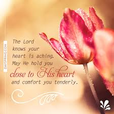 Five years later, the story is different. Comfort You Gently Ecards Dayspring