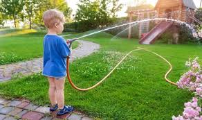 As long as you properly feed your lawn in the spring, it is okay to let it go dormant during the summer drought. How Often Should You Water Your Lawn In Hot Weather Express Co Uk