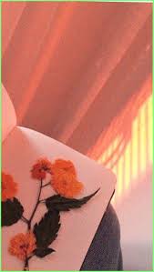 You can also upload and share your favorite peach aesthetic wallpapers. Peach Aesthetic 729x1290 Wallpaper Teahub Io