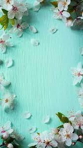 Flower Phone Wallpaper Spring Wallpaper Flower Background Wallpaper
