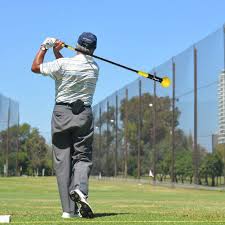 Bird Bouncing Golf Ball Fake Pin On Fun Thing