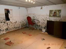 Les infiltrations vont de la simple trace d'humidité ponctuelle sur la face intérieure des murs périphériques ou à la jonction. Humidite En Sous Sol Des Batiments Agence Qualite Construction