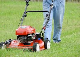 We did not find results for: Tondeuses A Gazon Magny Les Hameaux