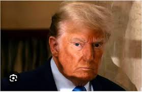 African Leaders' Engagement with President Donald Trump