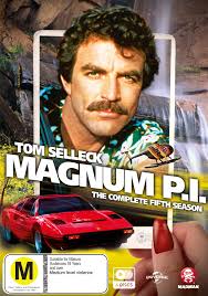 It's like the trivia that plays before the movie starts at the theater, but waaaaaaay longer. Magnum P I Season 5 Real Groovy