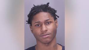 Teens in custody after carjacking DoorDash driver, leading Southfield  police