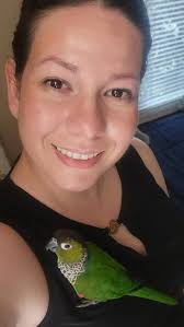 Lost Parrot in New England, Seeking Help to Find