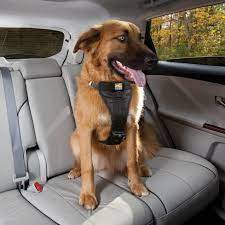 Though none of the dog car harnesses we reviewed are perfect, the few companies that are truly serious about car safety have made huge does he look happy in his ruffwear load up harness? Kurgo Black Tru Fit Crash Tested Dog Car Harness Large Petco