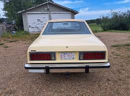 Image result for Light Pewter 1982 Fairmont