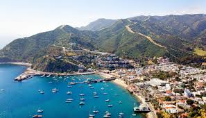 Pin On Catalina Island
