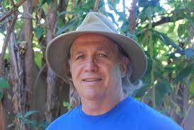 World of Irises: iris pictures