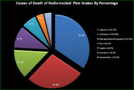 chart depicting the percentage of radio tracked snakes lost