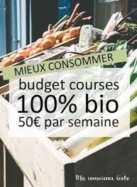 Mon Budget Courses Bio Pour La Semaine Ma Conscience Ecolo Budget Courses Bio Course Minimaliste