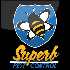 Live a healthy life with best termite control service in delhi. The 10 Best Exterminators In Linden Nj With Free Estimates