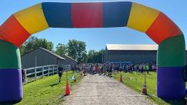 Sunshine Horses Strawberry Shortcake 4K and Open House