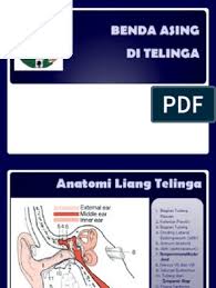 Namun, jika benda asing tersebut tidak bisa kamu keluarkan sendiri. Ppt Benda Asing Di Telinga