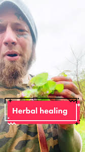 #purpledeadnettles #herbalhealing #forage #foraging #fyp #forgyall #fup  #fypシ゚viral #forupage #foryoupageofficial #foryoupage❤️❤️