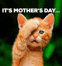 Check spelling or type a new query. Mothers Day Gifs Get The Best Gif On Giphy