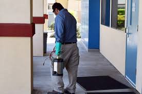 Commercial pest control services by zero pest solutions. Commercial Pest Control Services In North Delhi 27 Rodent Control Services In Delhi Rodent Control Services In Pitampura Rodent Control Services In Rohini Termite Control Services In Delhi Termite Control Services In Pitampura Termite Control