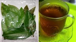 Daun salam mengandung banyak nutrisi. Manfaat Minum Air Rebusan Daun Salam Bisa Turunkan Hipertensi Hingga Asam Urat Tribun Manado