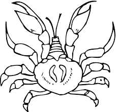 Check spelling or type a new query. Free Printable Crab Coloring Pages For Kids