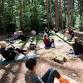 Yoga in the Pines event image