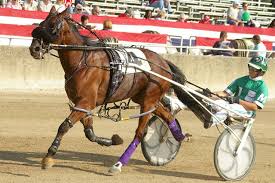 2017 Darke County Fair's harness racing concludes