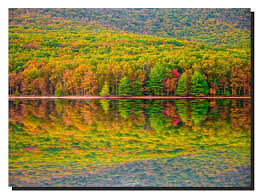 We did not find results for: Rocky Gap State Park Us Vacation Rentals House Rentals More Vrbo