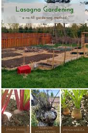 Our Lasagna Garden A No Till Gardening Method Lasagna Gardening Organic Gardening Tips Organic Vegetable Garden