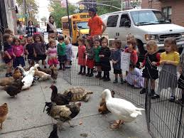 Feeding and petting the farm animals was fun as well. Petting Zoo Parties And Rentals Ny Nyc Nj Ct Long Island