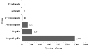 Image result for Kotschya aeschynomenoides