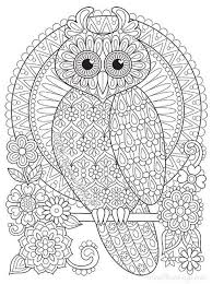 So i am extra pleased to be sharing these beautiful owl colouring pages for grown ups today. Pin On Coloring Books By Thaneeya