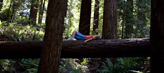 Portland has plenty of indoor activities to keep kids entertained and out of the house during the wet and cold winter. 10 Best Things To Do In Prtland Oregon With Kids Mommy Nearest