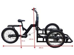 Attila Work Tricycle Cargo Bike Disegno Di Bici Bici Personalizzate Andare In Bici